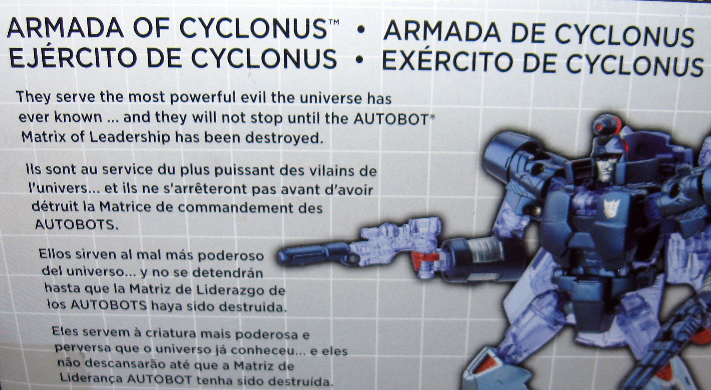 "Armada of Cyclonus" box-back bio.