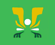 Star Dust