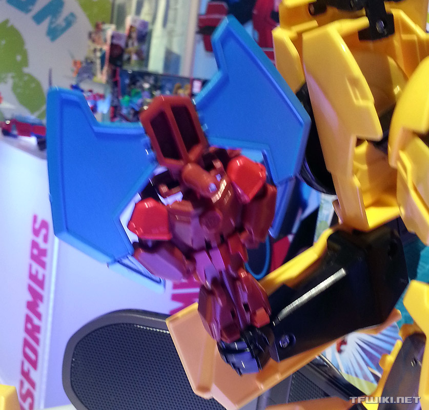 Buzzstrike close up