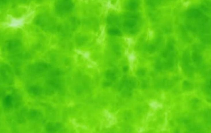 Thumbnail for version as of 12:07, 8 February 2019