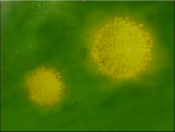 Thumbnail for version as of 21:21, 2 June 2010