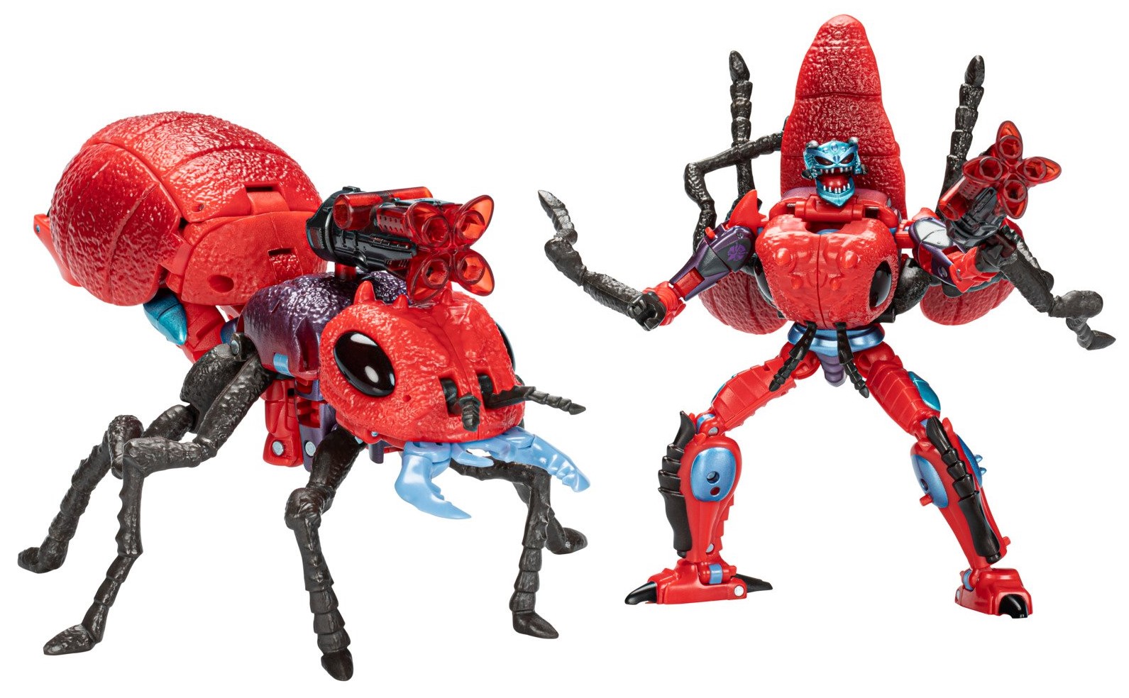 Thumbnail for version as of 14:26, 5 July 2022