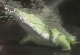 Beast mode (commercial)